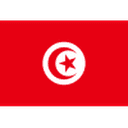 Tunisia badge